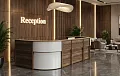 стойка ресепшн Агат