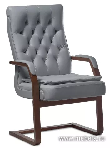 кресло Дарвин C (с подушкой)