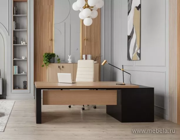 кабинет Ренц Лайт