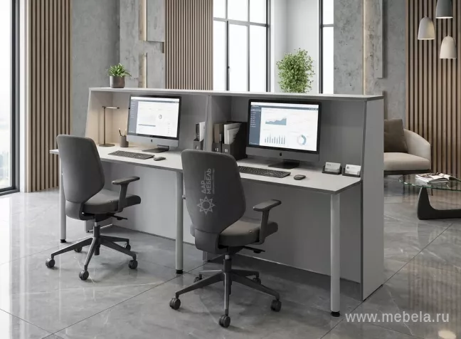 ресепшн Агат Серый