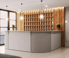 ресепшн Рива Серая