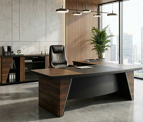 кабинет Ньютон