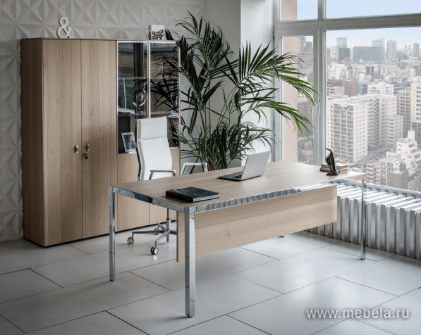 кабинет Энцо